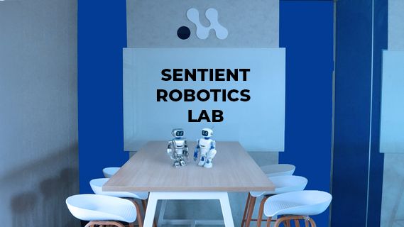 Sentient Robotics Lab